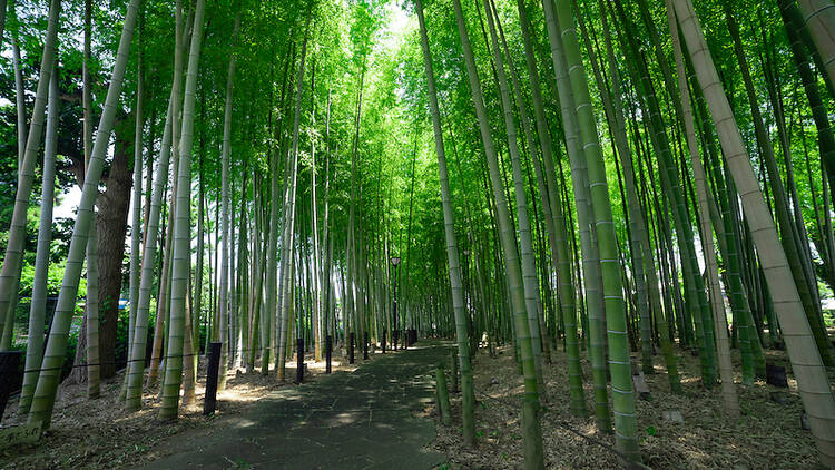 高宕山自然動物園