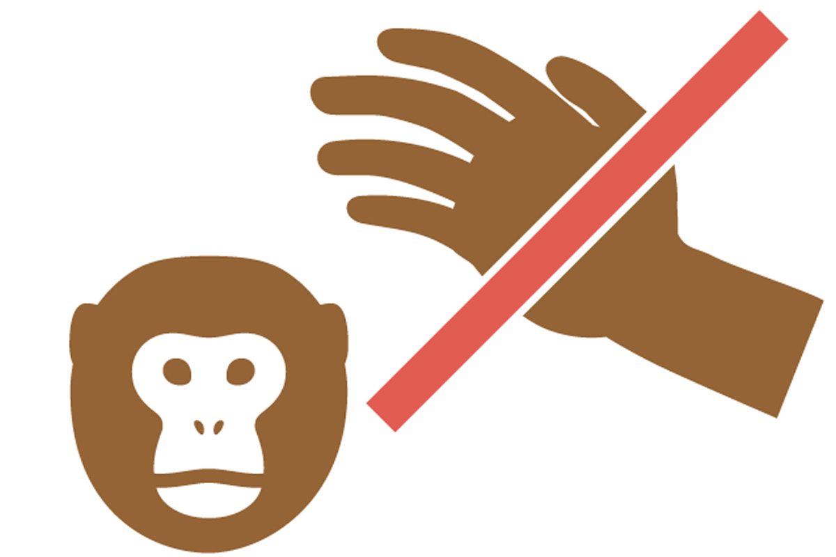 サルに触らない